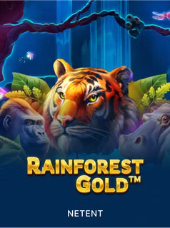 Rainforest Gold